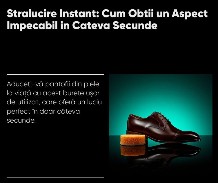 Stralucire instant Coccine Self-Shining Sponge - imagine principala blog