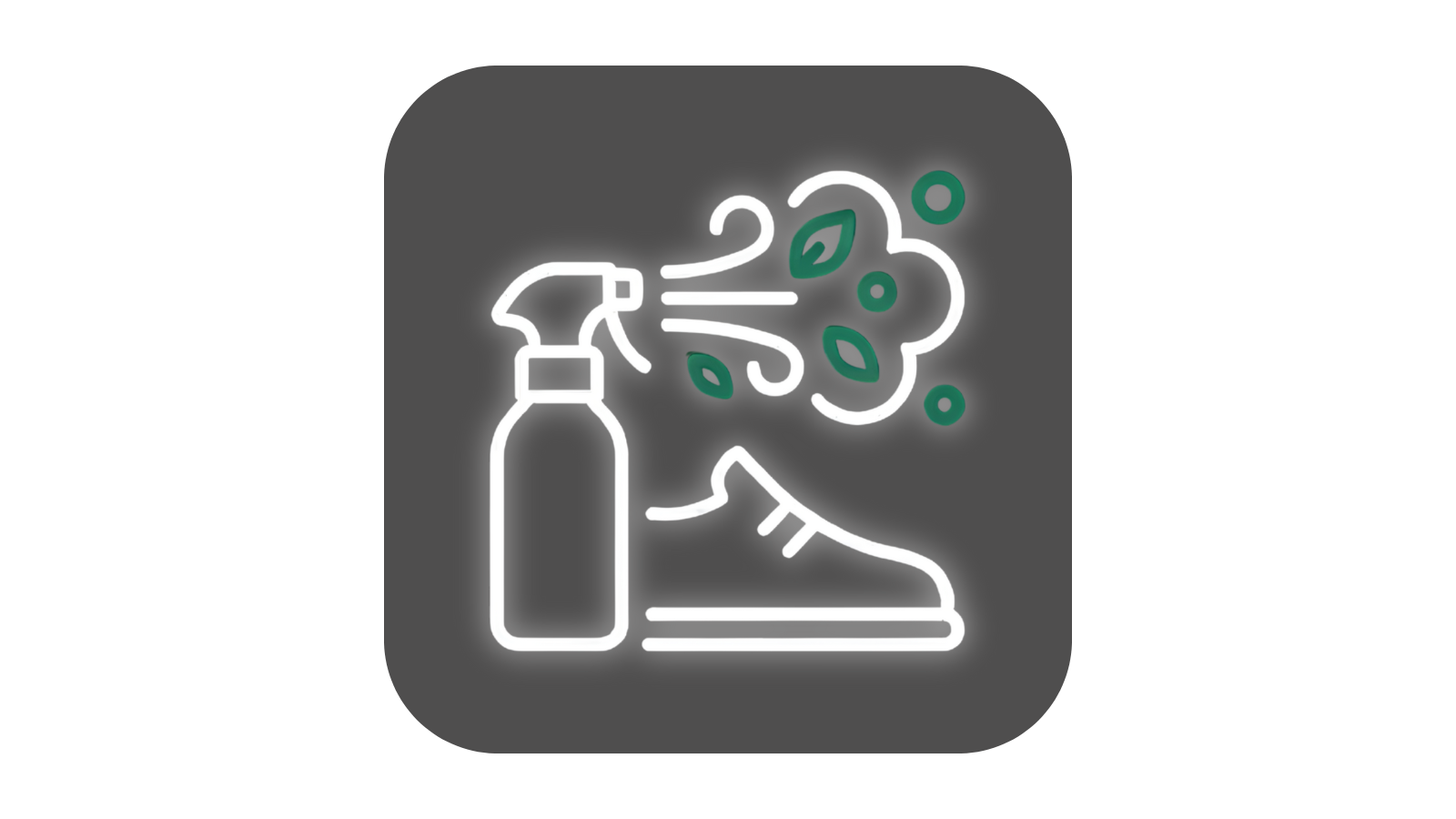 Igienizare si Deodorizare