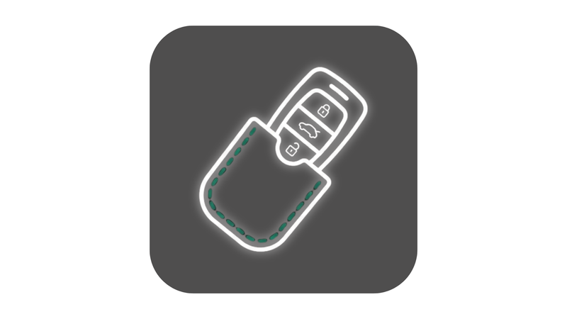 Huse Piele Chei Auto